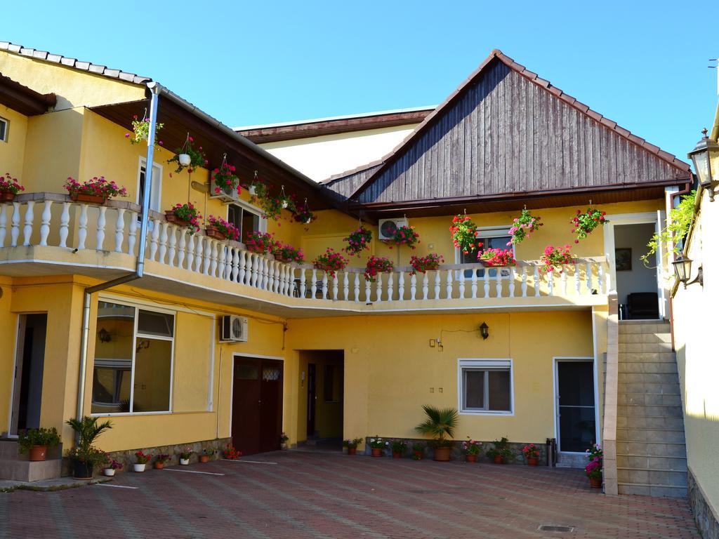 Pensiunea Alexander Arad Exterior foto
