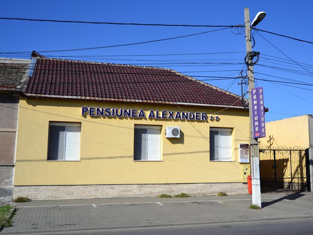 Pensiunea Alexander Arad Exterior foto