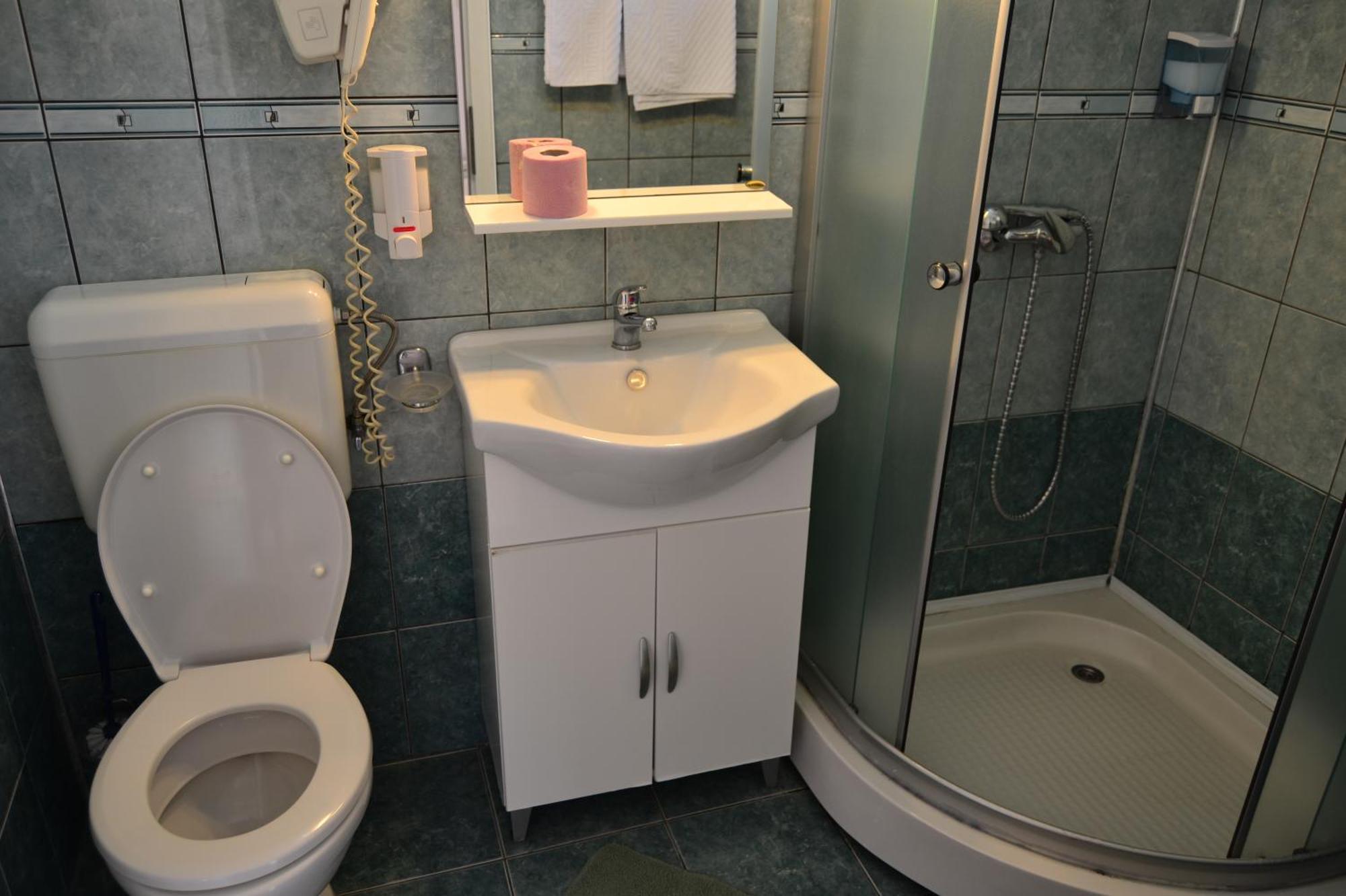 Pensiunea Alexander Arad Habitación foto
